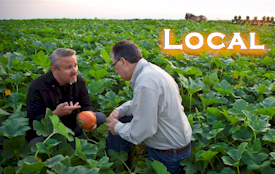 Local: Community